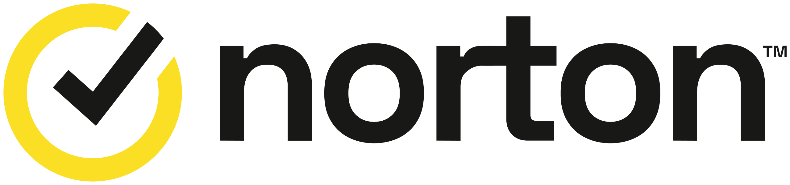 Norton Website